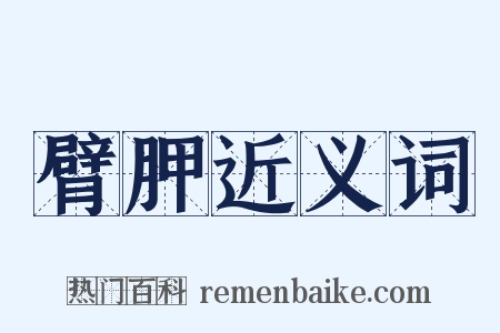 臂胛近义词是什么意思的图片